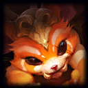 Champion Gnar